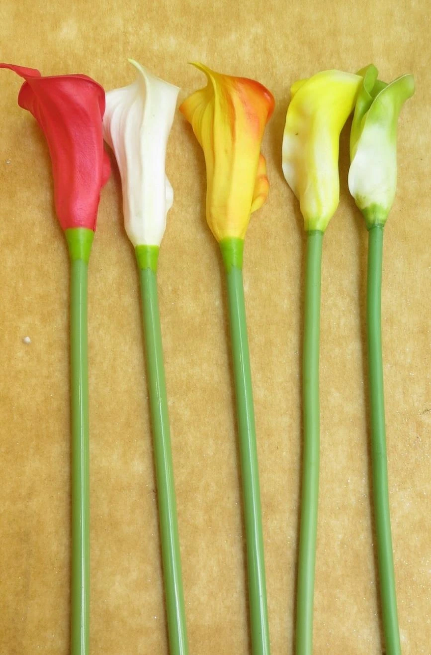 Cala Lily Medium